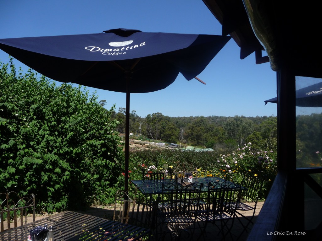View towards Melville Nursery from the Rose Heritage Cafe