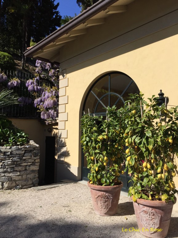 Wisteria and lemons outside the summer house of Villa Balbianello