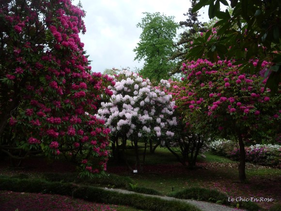 Gorgeous soft pink hues