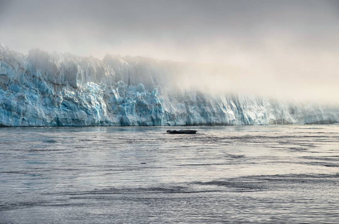 IMG_20180817_195944_753