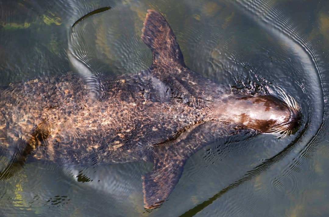 IMG_20180818_220345_358