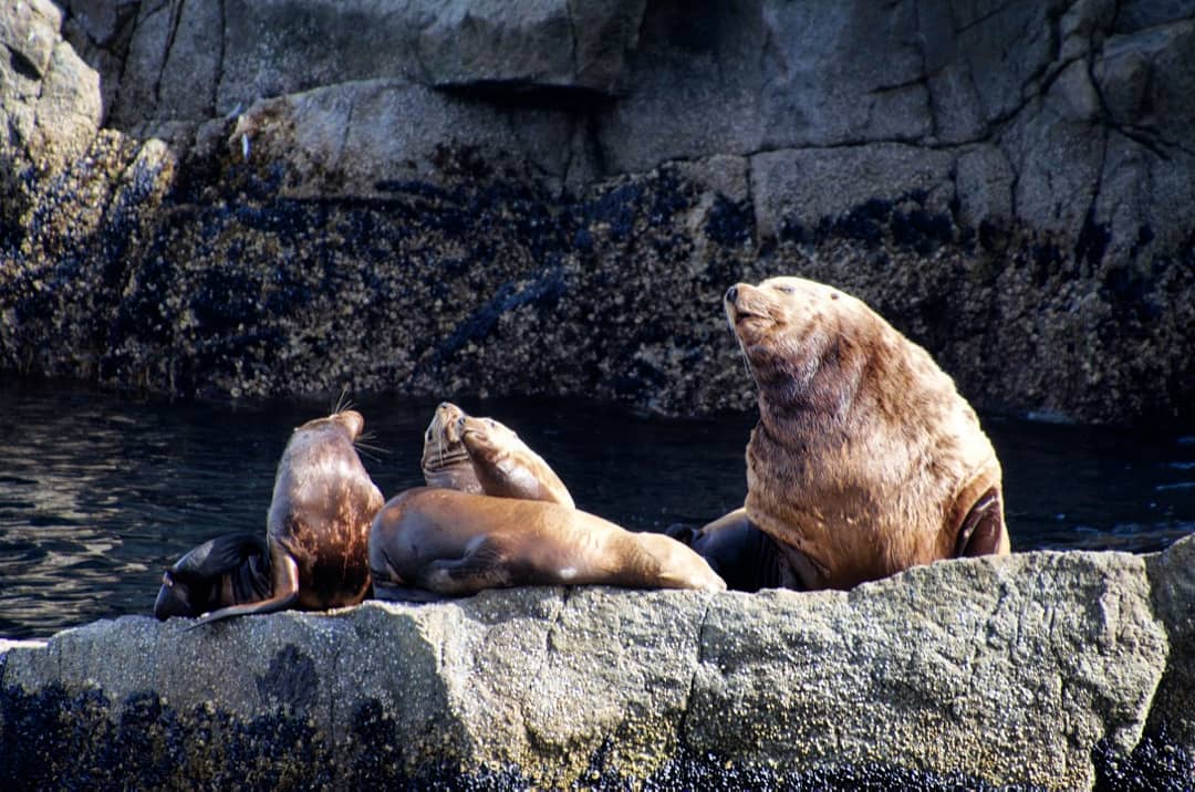 IMG_20180821_094849_371