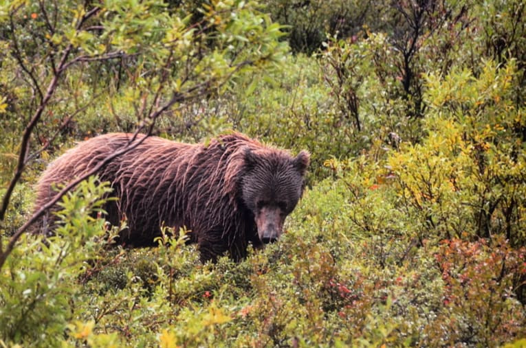 IMG_20180823_205618_826