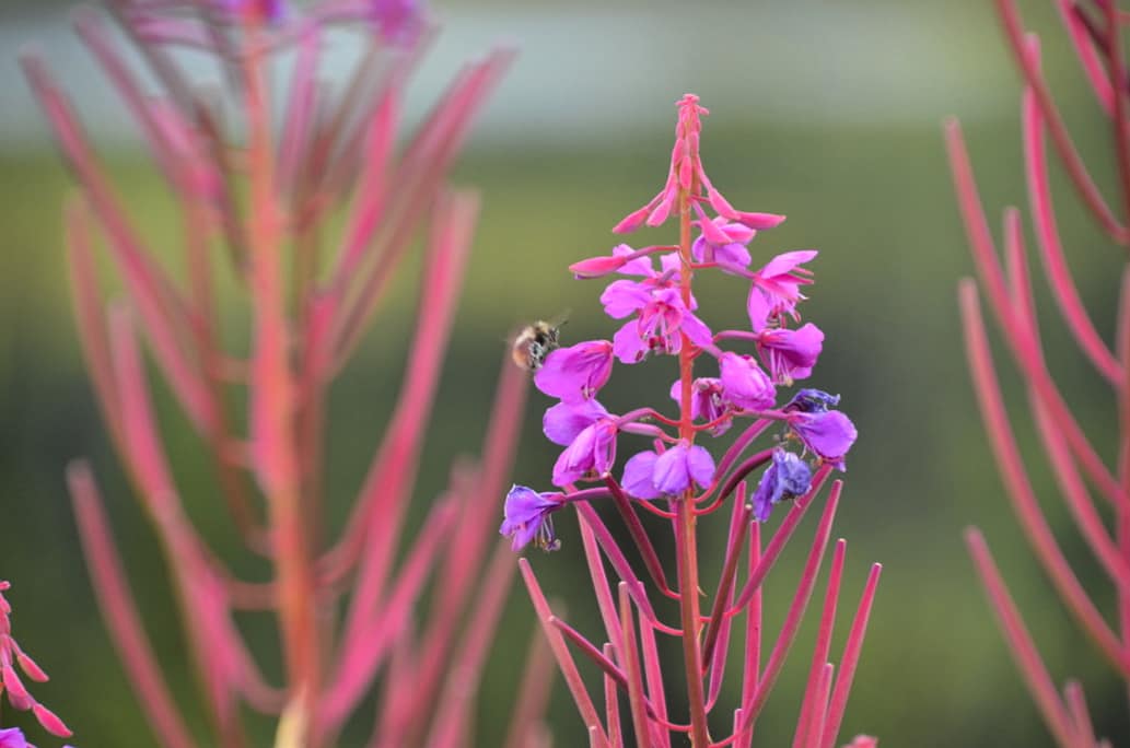 IMG_20180902_124551_217