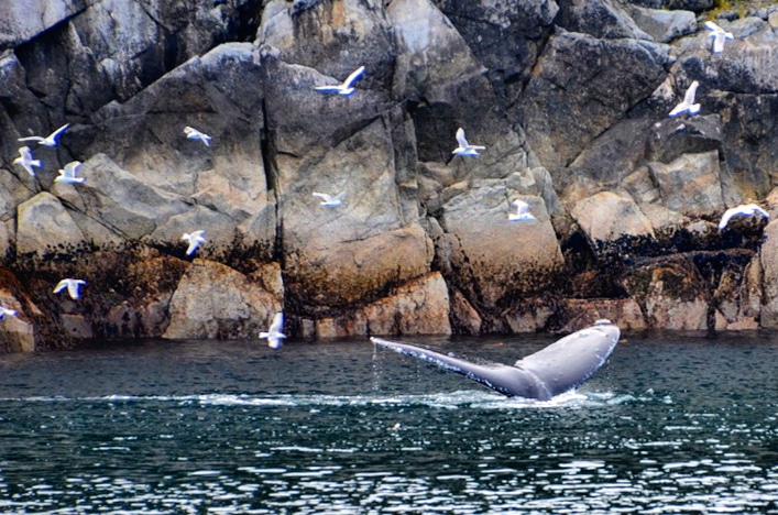 IMG_20180918_082339_215